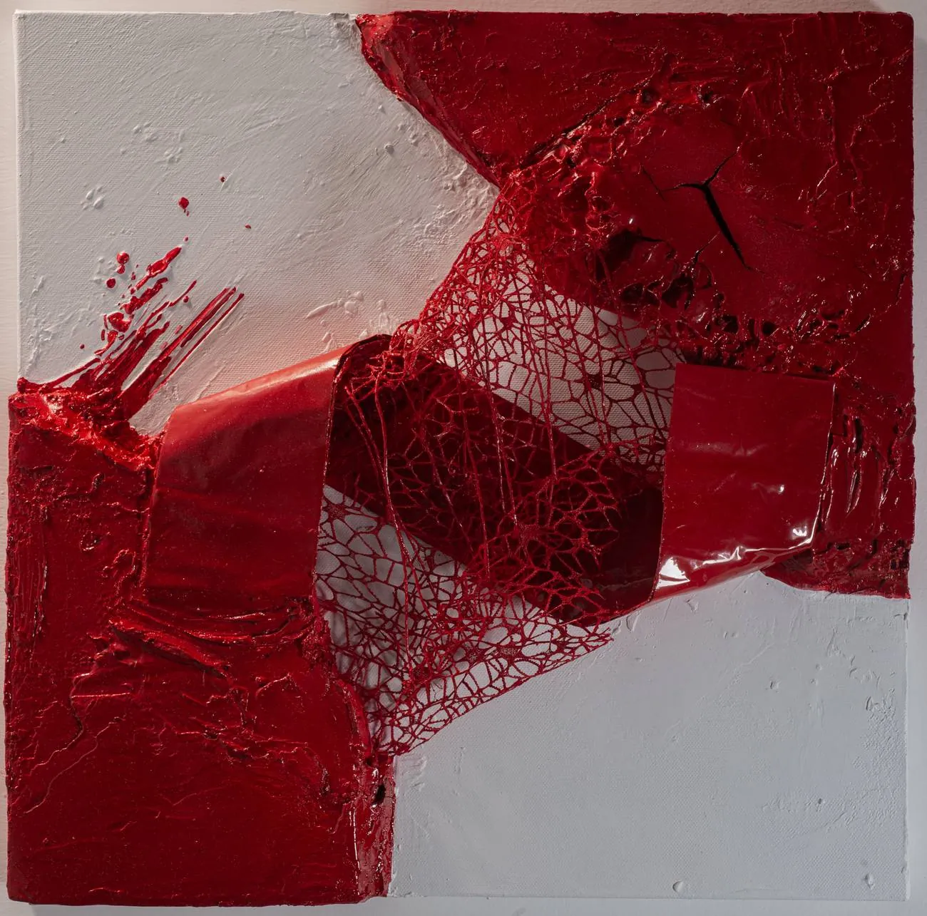 Filo rosso, 2025, vista frontale